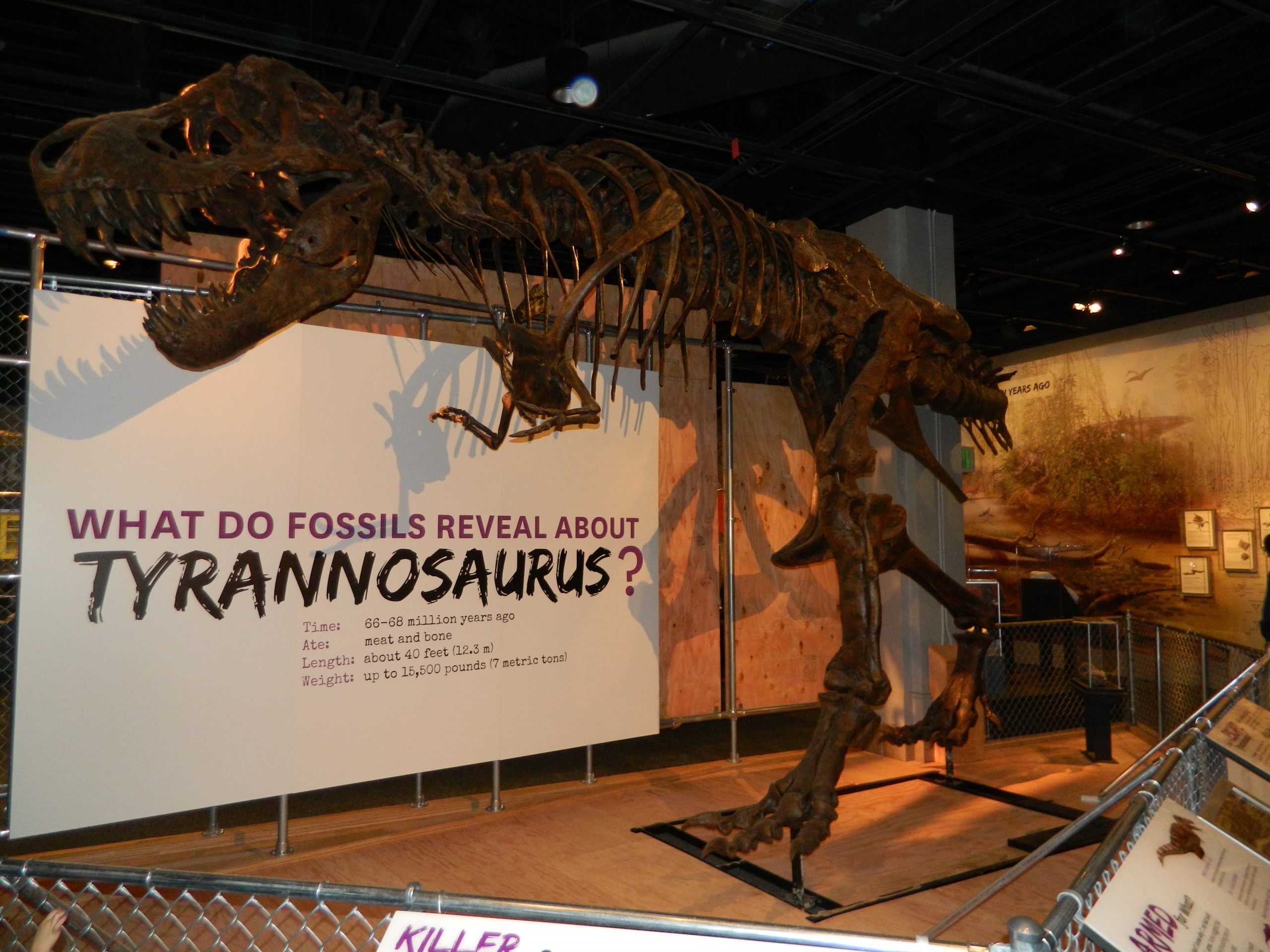 Day 3: Natural History Museum